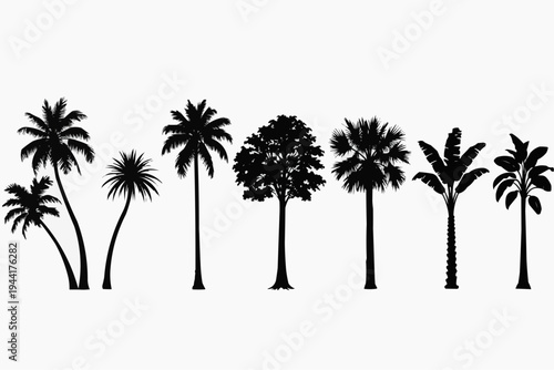 "Tropical Tree Silhouette Collection"