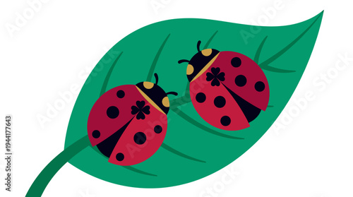 Two ladybugs rest peacefully on a vibrant green leaf, their red shells a stark contrast to the green of the leaf