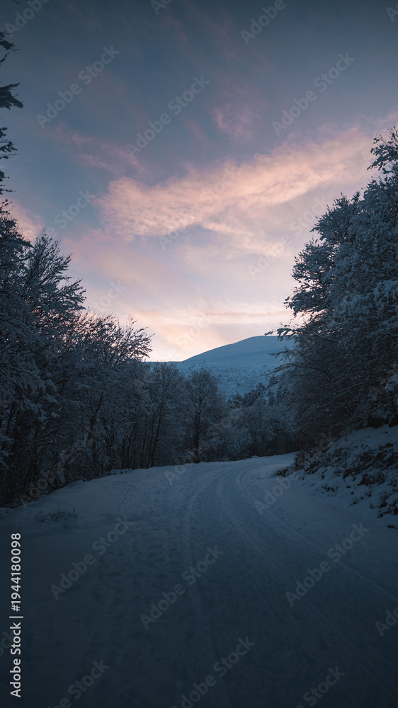 Obraz premium Ski mountaineering path winding through snowy forest at dawn