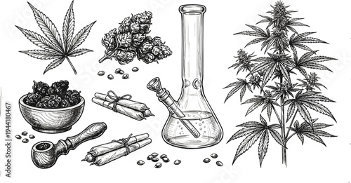 Cannabis plant and marijuana smoking accessories hand drawn illustration, weed leaf, buds, bong and pipe vintage botanical sketch set