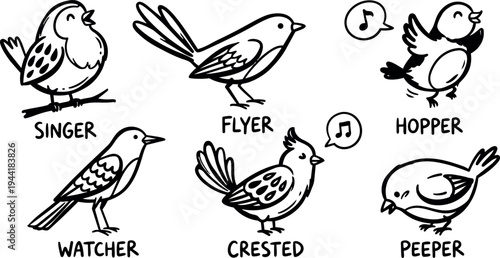 Black and white line art bird collection with singer flyer hopper watcher crested and peeper styles in minimalist vector design