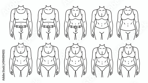 An illustration depicts various female body types showcasing different waistlines torso lengths and hip widths in a line art style high quality professional detailed modern elegant