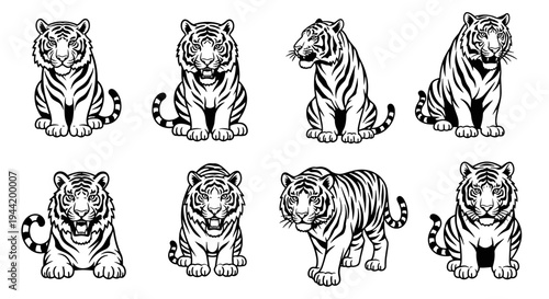 Collection of eight majestic tiger illustrations in various poses.