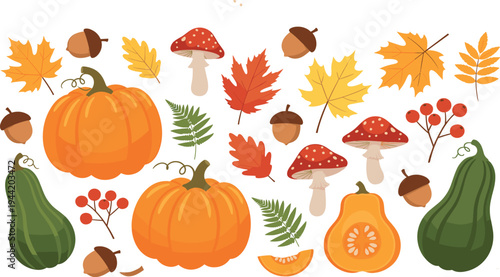 Autumn Harvest Vector Set with Pumpkins, Gourds, Mushrooms, Maple Leaves, Acorns and Berries Fall Seasonal Illustration