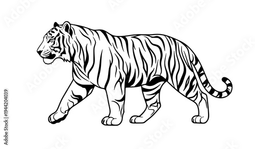 Stylized Tiger Outline Vector Illustration Design for Wildlife