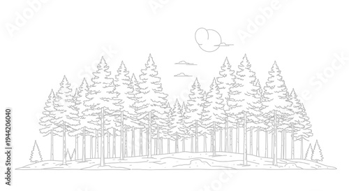Detailed line art illustration of a dense coniferous forest with pine trees, perfect for coloring books or nature-themed designs