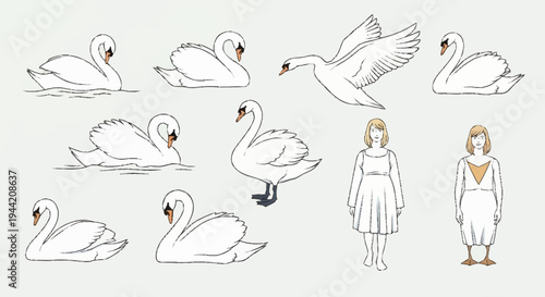 Collection of Swan Illustrations and Two Girls in Dresses.