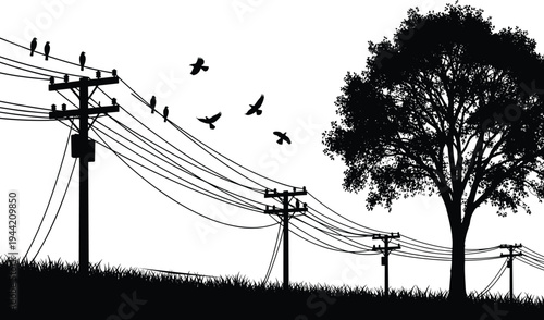 Utility poles, power lines, birds, tree, silhouette, black and white, rural scene, nature, infrastructure, perched birds, flying birds, foliage, grass, , technical sketch, landscape, outdoor, 