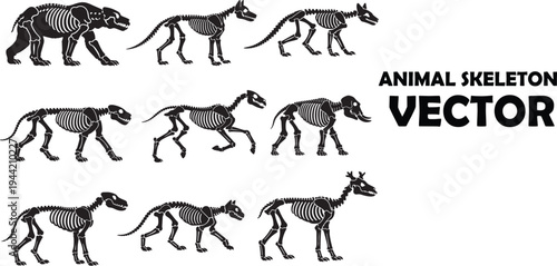 Animal skeletons in various poses including dogs and a giraffe