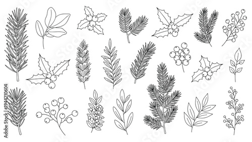Delicate line art sketches of various winter flora including pine branches and holly berries provide elements for festive design.