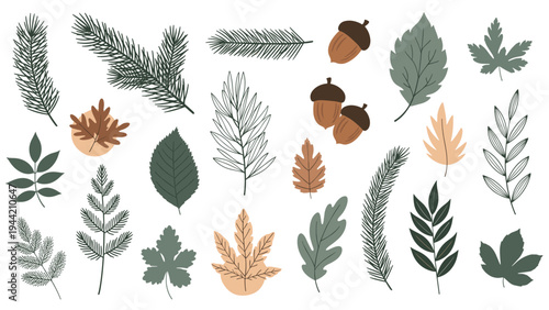 Assorted collection of autumn leaves, pine branches, and acorns in various shades of green, brown, and orange for fall designs.