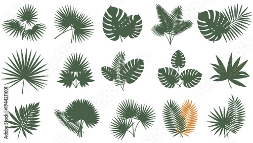 Collection of different green tropical leaves silhouettes including monstera palm and fern on a white background.