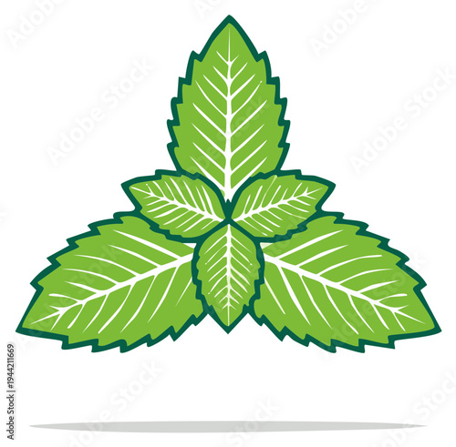 Fresh Green Mint Leaves Illustration in Vector Graphic, Food Ingredient Herb