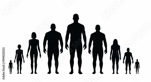 Diverse group of people silhouettes showing different heights.
