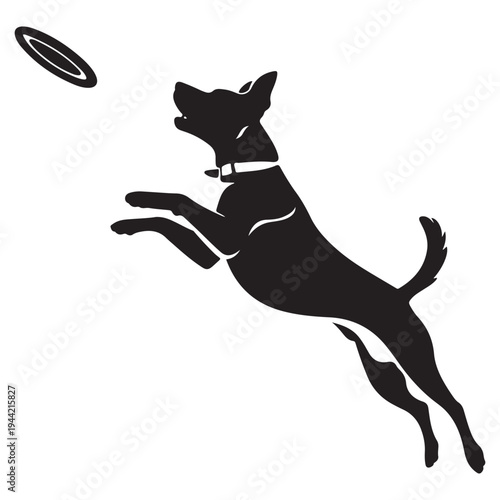 Dog leaping to catch a frisbee in a striking silhouette