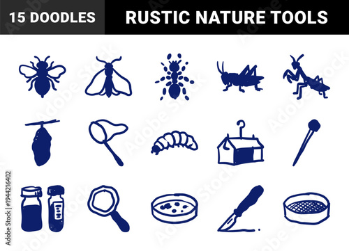 Hand-drawn entomology and insect study elements in a rustic marker sketch style. Naive doodle illustrations for nature and science education branding.