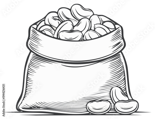 Vintage-style illustration of a filled burlap sack with cashew nuts, food product concept.