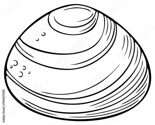 Line art drawing of a clamshell, featuring smooth texture and detailed lines for a sea life illustration.