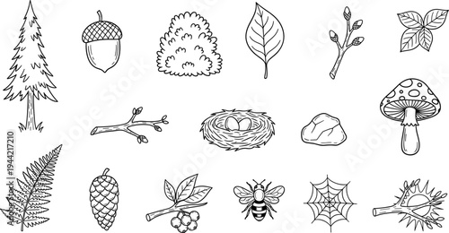 Collection of hand-drawn forest elements including plants, animals, and natural objects
