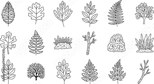 Collection of hand-drawn botanical elements and foliage in a simple line art style