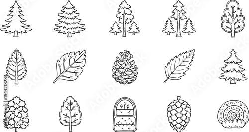Collection of hand-drawn forest elements including trees, leaves, pinecones, and a snail