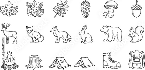 Collection of hand-drawn forest elements and camping gear icons