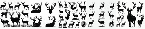 Vector set image silhouette of deer