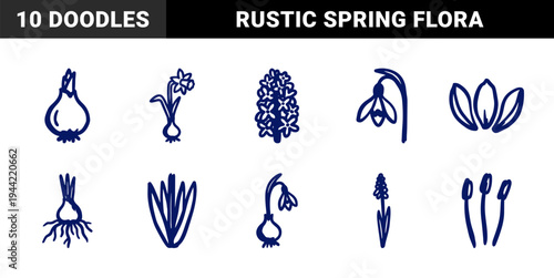 Hand-drawn spring flower bulbs and floral sprouts for organic gardening brand identity. Rustic, naive marker sketch illustrations of daffodils, hyacinths, and snowdrops.