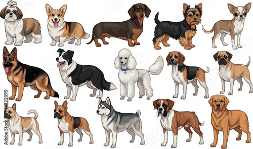 Different Dog Breeds Vector Set with Standing Domestic Dogs Realistic Pet Animals Collection for Veterinary and Pet Care Design