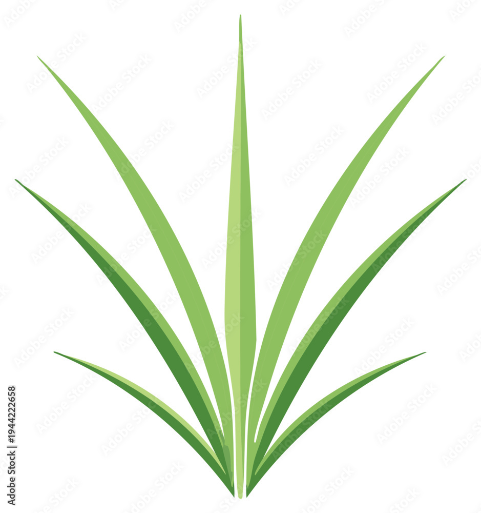 Fototapeta premium Abstract Stylized Green Grass Blades Growing Upward in a Fan Shape