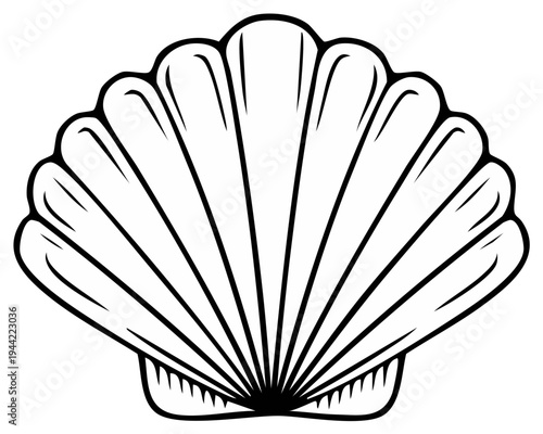 Elegant seashell outline with fan-shaped ridges for creative design projects like nature concepts and marine themes