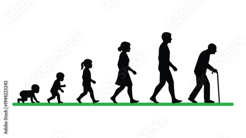 The evolution of human life stages: a silhouette representation of growth and aging from infancy to elderly