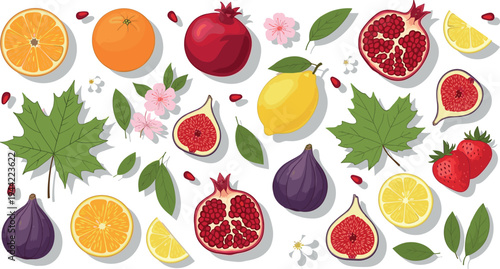 Fresh Citrus and Garden Fruits Vector Set with Pomegranate, Lemon, Orange, Fig, Strawberry and Leaves Botanical Illustration