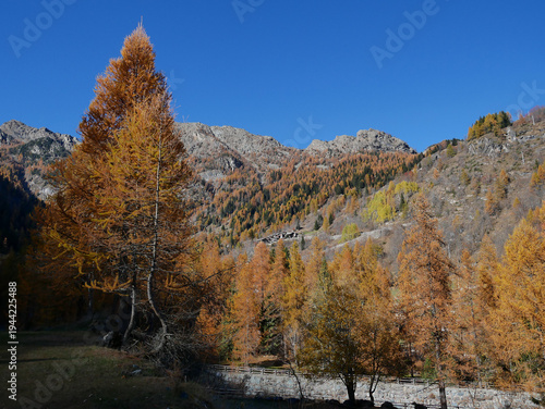Autumn in the Alps. Chardonney, a hamlet of Champorcher, Aosta Valley, Alps, Italy.