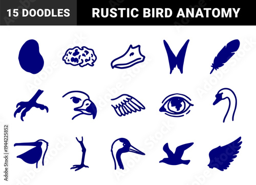 Hand-drawn avian anatomy and bird life elements for organic branding. Rustic, naive marker sketch illustrations featuring wings, feathers, and raptor profiles.