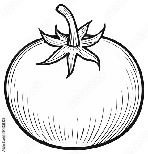 Ink drawing of a ripe tomato, isolated on plain background, fresh produce illustration.