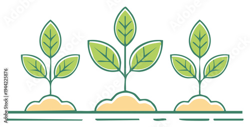 Row of Young Seedlings Sprouting in Soil with Green Leaves Ready to Grow Agriculture