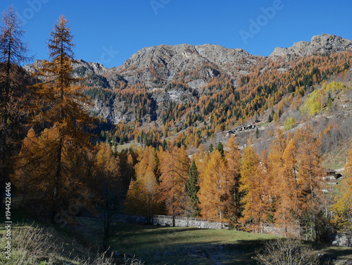 Autumn in the Alps. Chardonney, a hamlet of Champorcher, Aosta Valley, Alps, Italy.