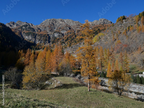 Autumn in the Alps. Chardonney, a hamlet of Champorcher, Aosta Valley, Alps, Italy.