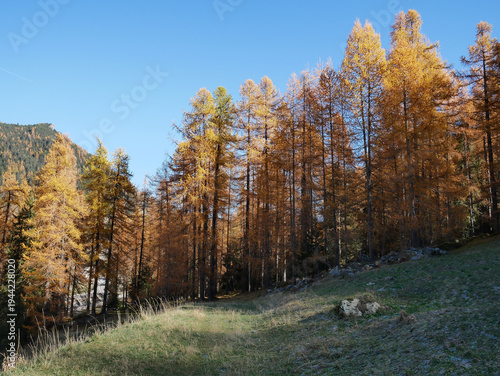 Autumn in the Alps. Chardonney, a hamlet of Champorcher, Aosta Valley, Alps, Italy.