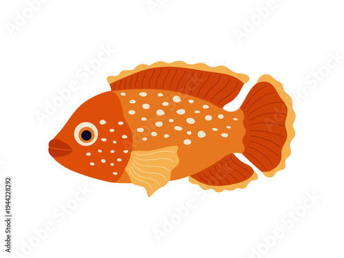 Orange aquarium fish. Tropical exotic underwater animal. Hand drawn vector illustration isolated on white background, modern flat cartoon style.