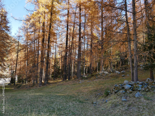 Autumn in the Alps. Chardonney, a hamlet of Champorcher, Aosta Valley, Alps, Italy.