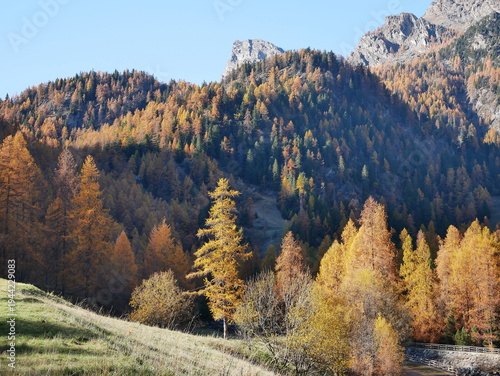 Autumn in the Alps. Chardonney, a hamlet of Champorcher, Aosta Valley, Alps, Italy.