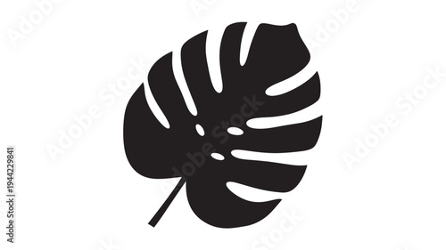 Monstera Leaf Silhouette on WHITE BACKGROUND – Tropical Plant Vector Icon