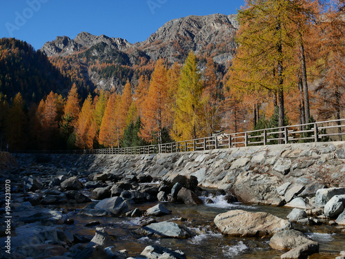 Autumn in the Alps. Chardonney, a hamlet of Champorcher, Aosta Valley, Alps, Italy. Along the river bottom.