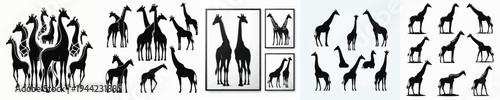 Vector set image silhouette of giraffe