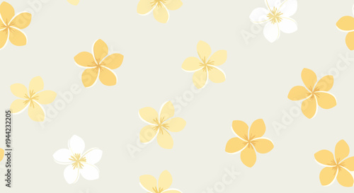 Yellow and white flower blossoms bloom.