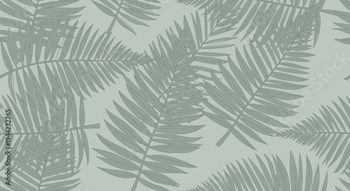 Gray fern leaves pattern closeup.