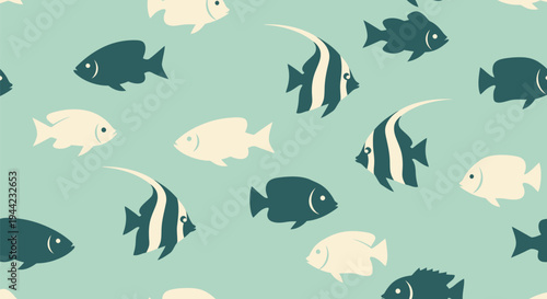 School of White and Black Fish.