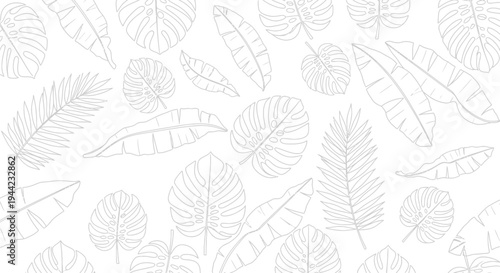 Various types of leaf illustrations.